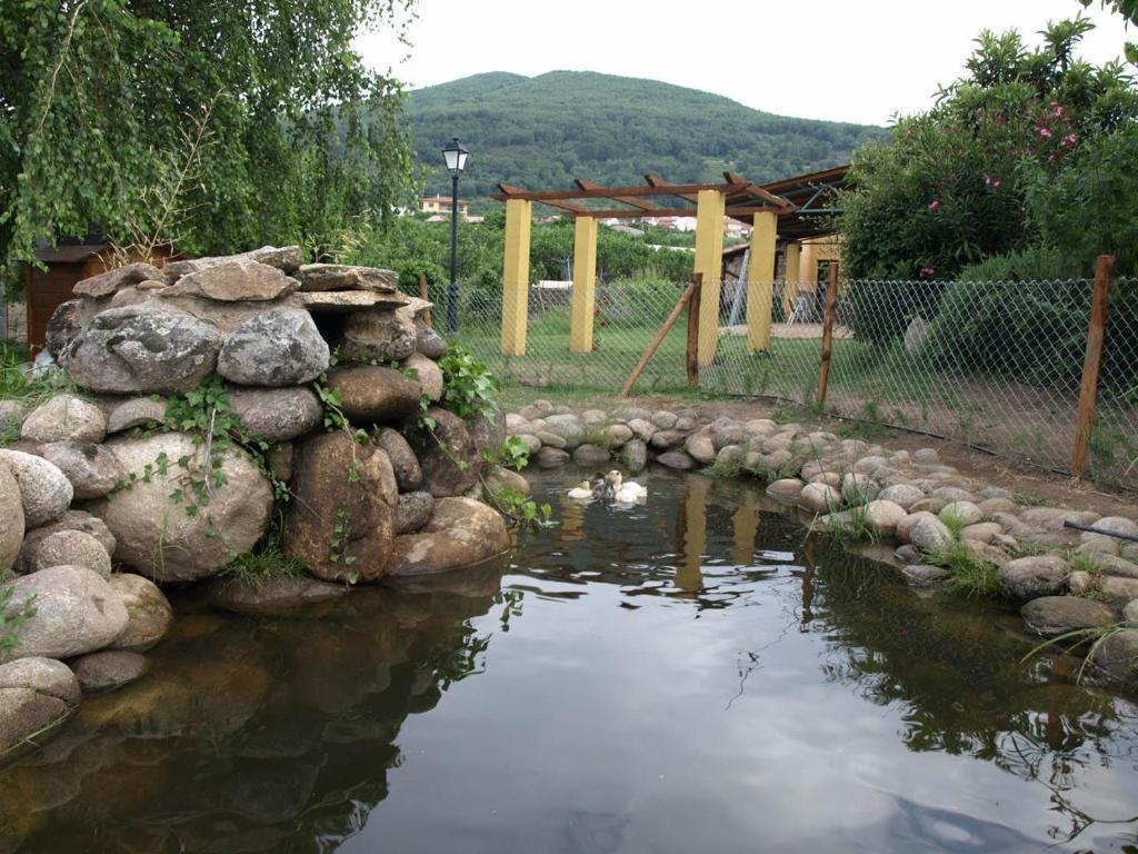 Casas Rurales Las Praderas Affittacamere Poyales Del Hoyo Camera foto